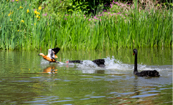 说明: //rcb.fanhaovip.net/__local/5/A1/BF/141495AC6945C309DDB4AD2C889_6E35C68A_1210AD.png