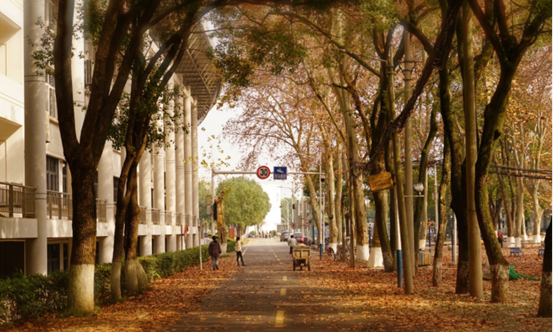 说明: //rcb.fanhaovip.net/__local/F/DC/AD/26AAF68465C39908E951504ECA2_E70C2E5D_119062.png